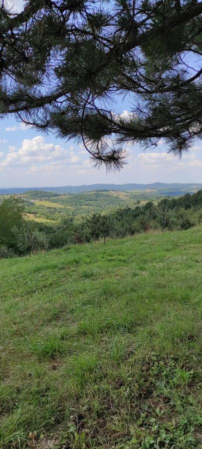 Vikend House Villa Ljig Екстериор снимка