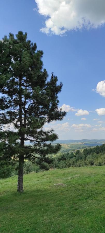 Vikend House Villa Ljig Екстериор снимка