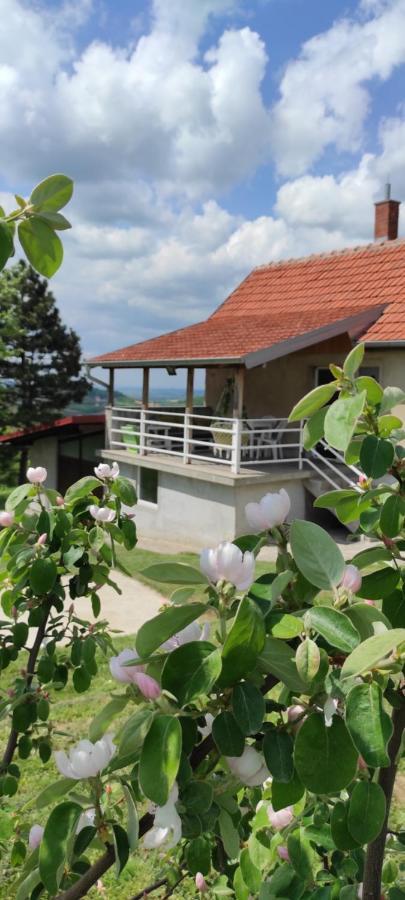 Vikend House Villa Ljig Екстериор снимка